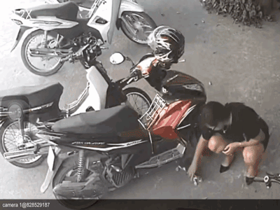 Video: Người phụ nữ nắm cổ con mèo, nhét vào... chỗ hiểm mang đi khiến tất cả ngỡ ngàng