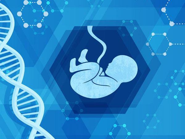 Sau Trung Quốc, Nga sẽ là quốc gia tiếp theo cho ra đời những đứa bé chỉnh sửa gene