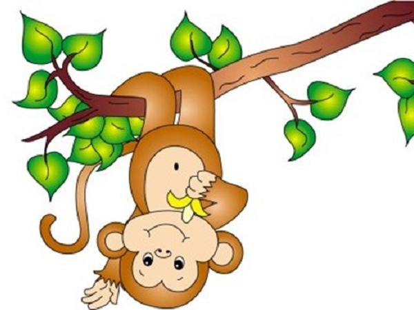 Tử vi chủ nhật ngày 10/11/2019 của 12 con giáp: Thân dễ gặp vạ miệng, Dậu xui xẻo