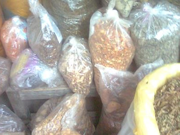Hải Phòng: Tiêu hủy hơn 5 tạ thuốc đông dược không rõ nguồn gốc