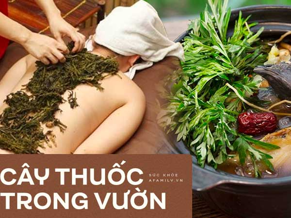 Cứ đau đầu khi giao mùa, nhiều người lại nhanh trí ăn ngay món rau này và tác dụng của loại rau đó còn ưu việt hơn thế!