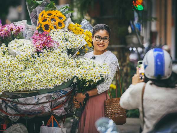 Chùm ảnh: Cúc hoạ mi dịu dàng chở đông về trên phố