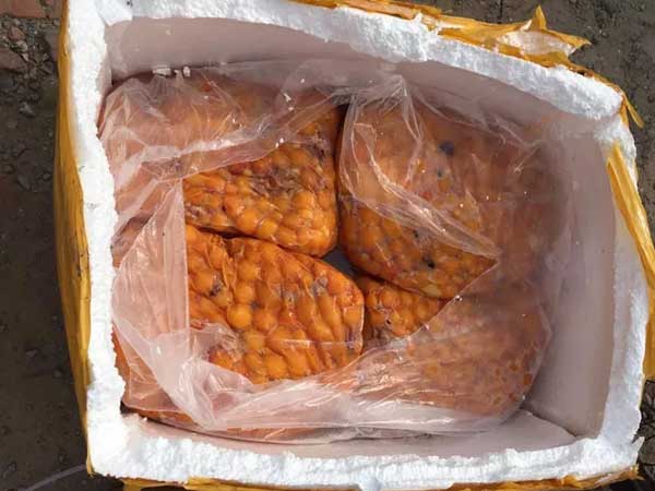 Hà Nội: Chặn đứng 200kg nội tạng chảy nhớt, bốc mùi hôi thối giữa phố đông người