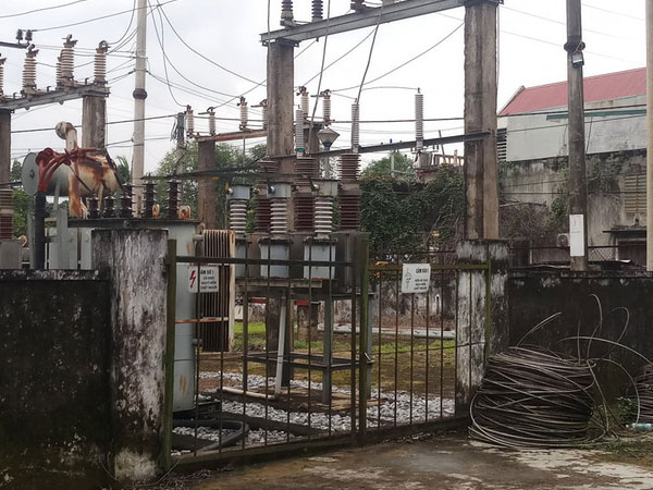 Sửa điện không mang đồ bảo hộ, một người bị điện giật tử vong
