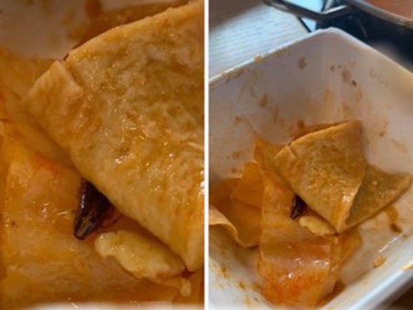 Hoảng hồn với dị vật bị nghi là con gián trong nồi Tokbokki ăn dở, cô gái cầu cứu cộng đồng mạng xác nhận giùm