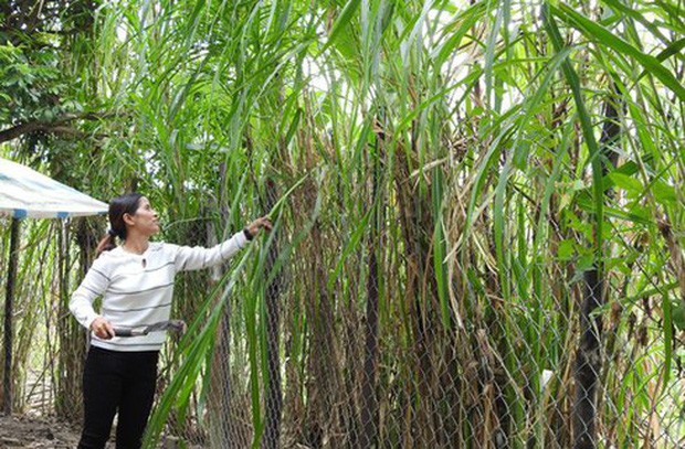 Kon Tum: Nữ trưởng thôn cùng 4 hộ dân viết đơn xin rút khỏi hộ nghèo