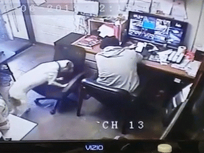 Video: Chú chó tự động đẩy ghế ngồi sát lại gần chủ đang làm việc khiến cộng đồng mạng tan chảy