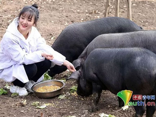 Chàng rể may mắn nhất quả đất vừa cưới được vợ, vừa được nhận quà 'khủng' từ đằng nhà gái