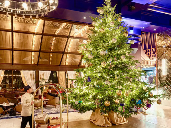 Sắp Noel dựng cây thông có gì là sai? Dân tình: 'Sai là do nguyên liệu đấy!'
