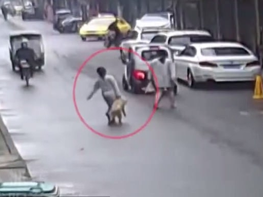 Sốc: Du khách Trung Quốc thản nhiên dắt trộm chó vì... 'thấy đáng yêu'