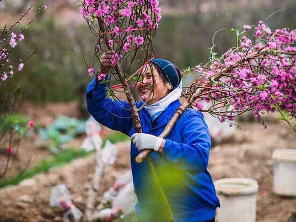 Tháng 2 năm 2020 có bao nhiêu ngày?