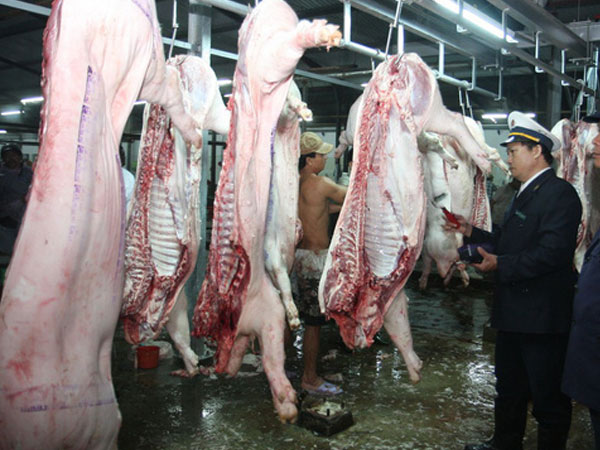 Từ 1/1/2020, không được để vật nuôi chứng kiến đồng loại bị giết mổ