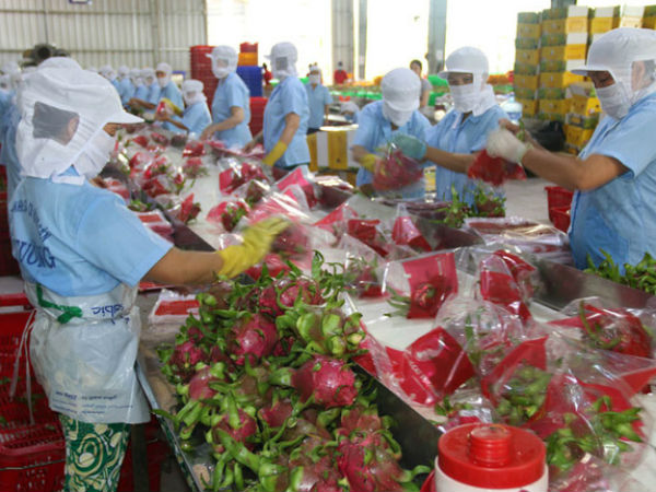 Xuất khẩu nông, lâm, thủy sản đạt mức cao kỷ lục