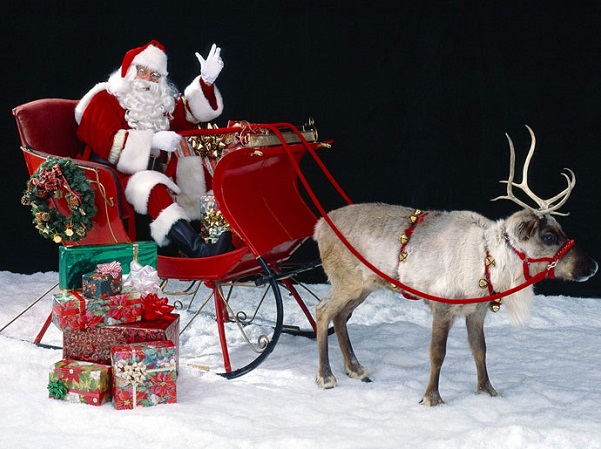 Tại sao ông già Noel dùng tuần lộc kéo xe mà không phải con vật khác?