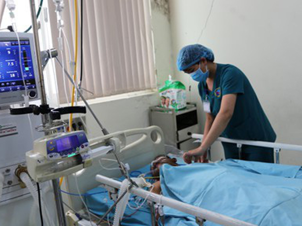 6 người ở Quảng Ngãi ngộ độc do ăn cá nóc: Diễn biến khó lường, tiên lượng xấu