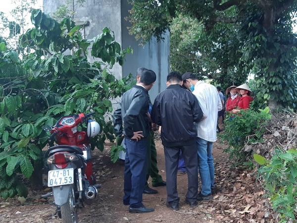 Bàng hoàng phát hiện thi thể người phụ nữ đang phân hủy trong rẫy cà phê