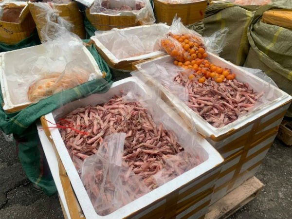 Hà Nội: Hàng tấn lưỡi vịt, nầm lợn, lườn ngỗng bốc mùi nhập từ Trung Quốc tại siêu thị MM Mega Market bị bắt giữ