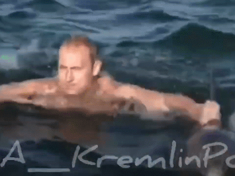 Điện Kremlin công bố video ông Putin cưỡi cá heo vượt sóng
