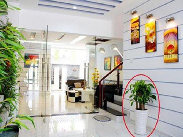 5 cách dọn dẹp nhà cửa cuối năm để năm mới tiền bạc rủng rỉnh cả năm