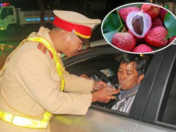 Đại biểu Quốc hội lên tiếng về việc ăn vài quả vải và uống siro cũng có thể bị phạt lỗi nồng độ cồn