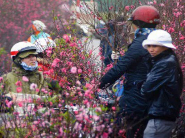 Thời tiết dịp Tết Nguyên đán Canh Tý 2020: Miền Bắc rét đậm, rét hại