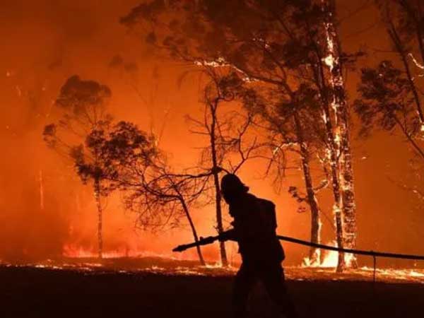 Australia: Mưa đã xuất hiện, thảm họa cháy rừng vẫn có thể quay lại
