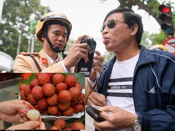 Bộ GTVT lên tiếng về thông tin ăn trái cây có nồng độ cồn cũng bị xử phạt