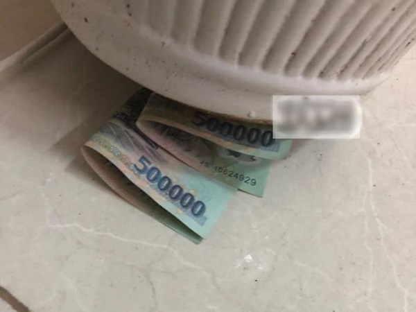 Chồng đặt cây phong thủy trong nhà để 'hút lộc' nhưng tháng nào lương cũng hụt đi 1 triệu, vợ xê dịch cây mới phát hiện bí mật động trời