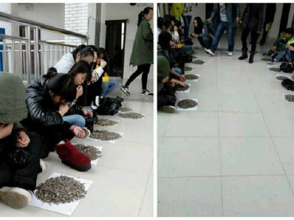 Lén cắn hướng dương trong lớp, nhóm học sinh 'được' thầy cho ra xếp hàng ngồi cắn thêm 50kg nữa