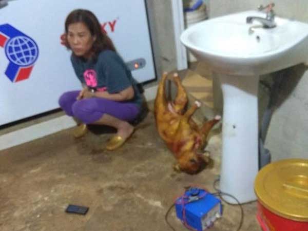 Bắt 3 đối tượng tiêu thụ 14 tấn thịt chó