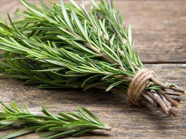 Không cần dùng thuốc xịt độc hại, đám côn trùng sẽ chẳng dám bén mảng vào nhà nếu trồng 5 loài cây này quanh nhà
