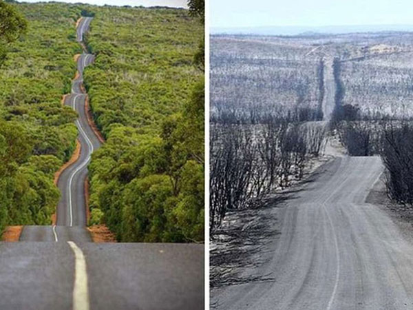 Mưa lớn giúp dập tắt nhiều đám cháy ở Australia