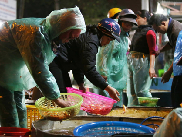 Ngày ông Công ông Táo, chợ cá lớn nhất Hà Nội cháy hàng cá chép từ rạng sáng