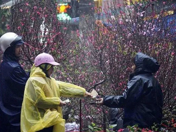 Dự báo thời tiết dịp Tết Nguyên đán Canh Tý 2020: Tết năm nay sẽ lạnh hơn so với Tết năm ngoái
