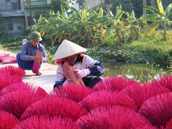Rực rỡ làng hương tăm duy nhất còn lại ở Hà Nội chuẩn bị cho Tết Nguyên đán 2020
