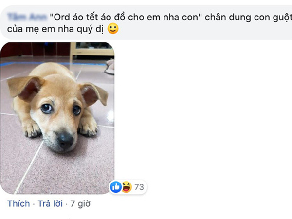 Hội con ruột háo hức về quê ăn Tết thi nhau than trời vì bố mẹ quá đam mê đám boss nhiều lông: Chẳng biết ai mới là con đẻ của bố mẹ đây!