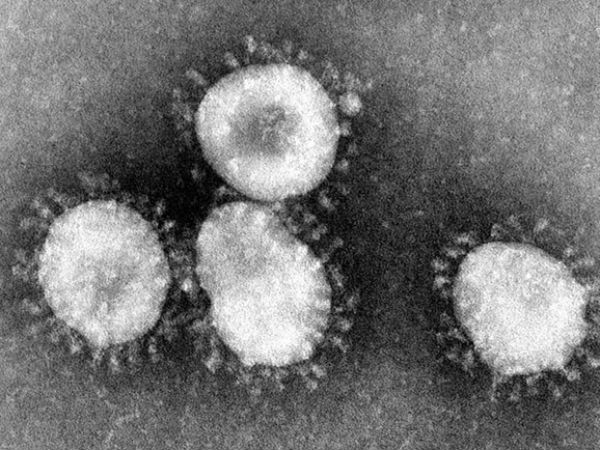 Chuyên gia hàng đầu Trung Quốc đưa nhận định về virus gây bệnh viêm phổi lạ