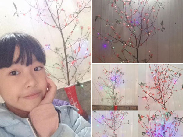 Những người nông dân chong lều canh đào, quất giữa cái lạnh 14 độ C của Hà Nội: 'Như đánh một canh bạc, bại nhiều hơn thắng'