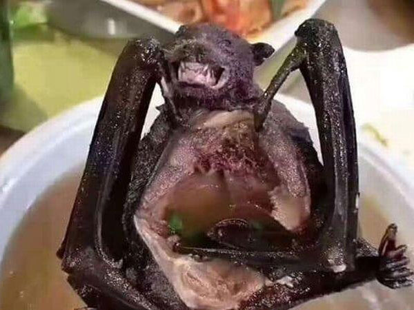 Báo Anh tiết lộ một món ăn 'kinh hoàng' của người Trung Quốc có thể chính là thủ phạm gây bùng phát dịch viêm phổi Vũ Hán