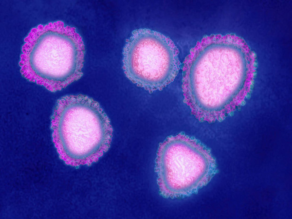Đây là 8 điều quan trọng bạn cần biết về virus Vũ Hán: Nó lây nhiễm thế nào, phòng chống ra sao?