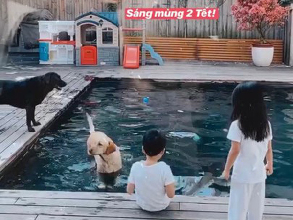 Hà Tăng khoe khoảnh khắc 2 con chơi đùa với thú cưng trong biệt thự triệu đô: Chẳng cần gì lớn lao, Tết bình yên thế này là đủ!