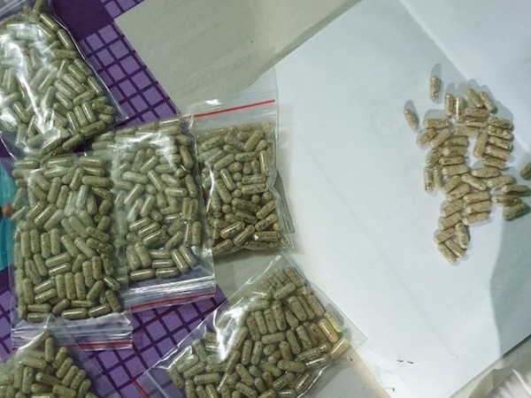 Nuôi con nhỏ, 'kiều nữ' tàng trữ hơn 750 viên thuốc lắc