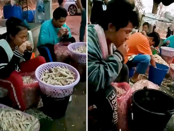 Kinh hoàng cảnh tượng công nhân xưởng chế biến chân gà dùng miệng tách xương, mỗi ngày tiêu thụ hơn 500 kg da gà