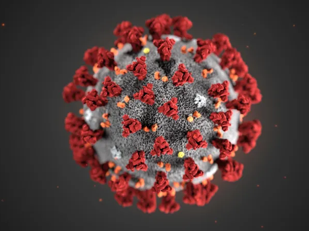 Virus khác vi khuẩn thế nào?