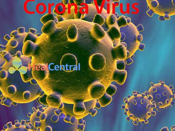 Điều kiện thời tiết lý tưởng nào giúp virus corona nCoV sinh sôi phát triển?