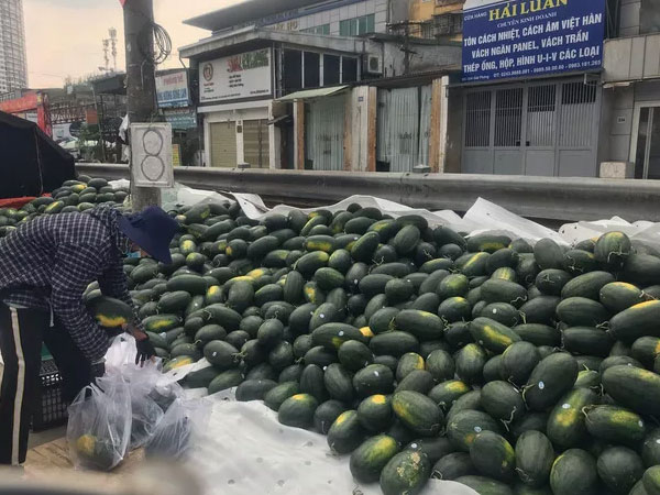 Những thực phẩm rớt giá chỉ còn dưới 7.000 đồng/kg sau Tết