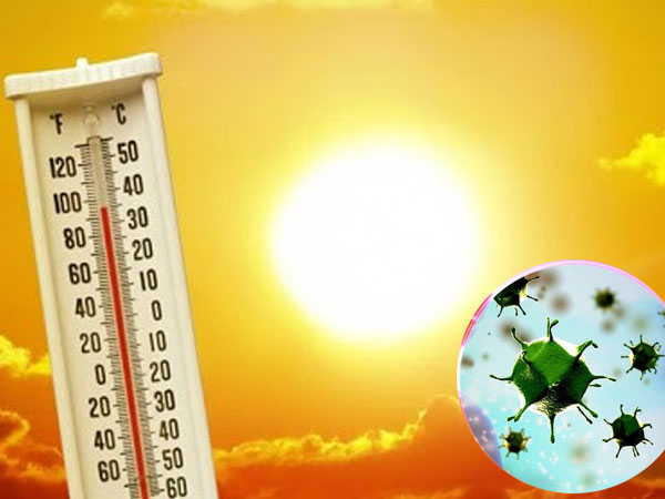 Bác sĩ nói gì về thông tin 'trên 25 độ là diệt chết virus corona'?