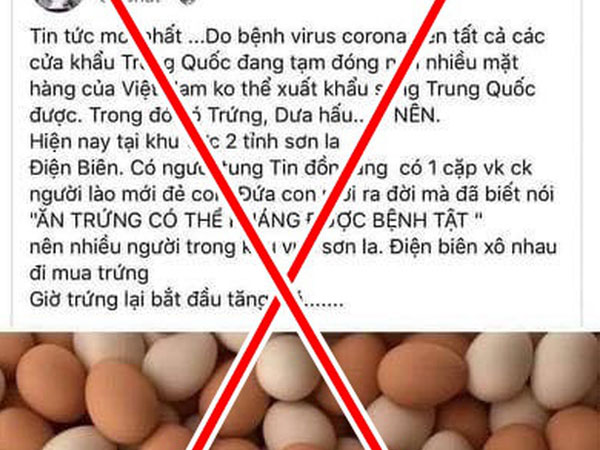 Tung tin ăn trứng luộc có thể thoát nạn diệt vong, người phụ nữ bị phạt 10 triệu đồng