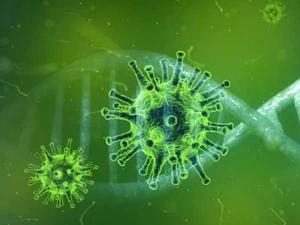 Brazil phát hiện virus chưa từng gặp, Nigeria cảnh báo căn bệnh kỳ lạ