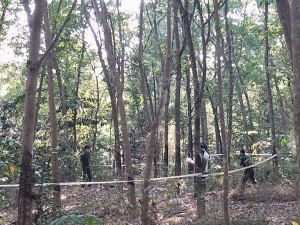 Phát hiện thi thể một người đàn ông trong rừng cao su nghi bị sát hại